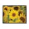 Stupell Industries Yellow Sunflower Nursery Field Directed Focus in Black Frame Wall Art